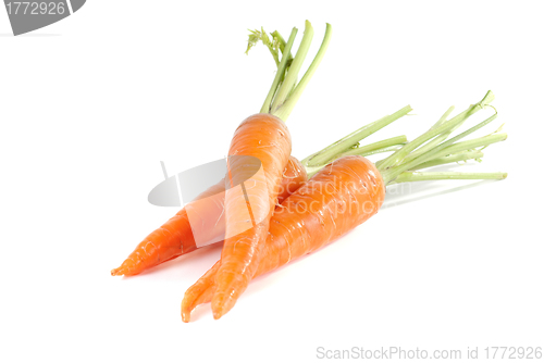Image of Carrots