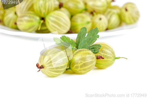 Image of gooseberries