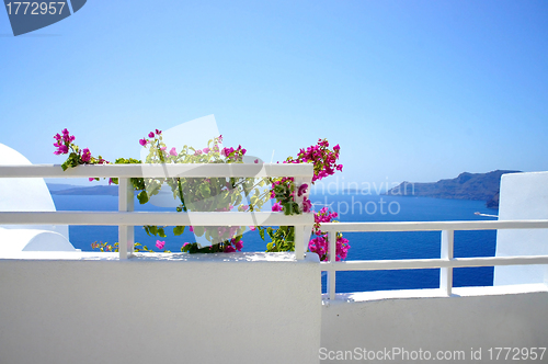Image of Santorini terrace with flowers