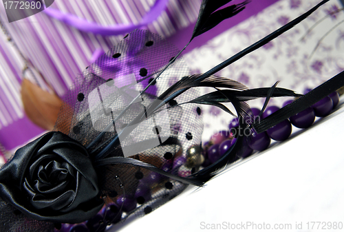 Image of Luxury glamour women accessories 