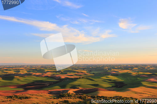 Image of Beautiful Hills of Palouse