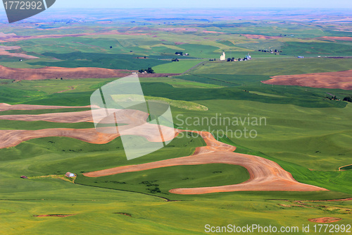 Image of Hills of Palouse