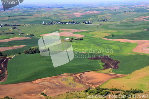 Image of Rolling Hills of Palouse