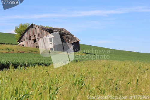 Image of Dilapidated Farm House