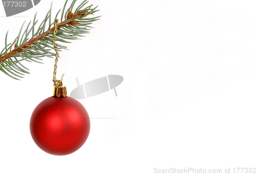 Image of Round red Christmas ornament hanging from evergreen branch