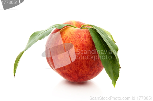 Image of Ripe peach with green leaves.
