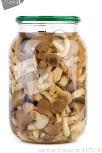 Image of Glass jar with marinated honey agarics