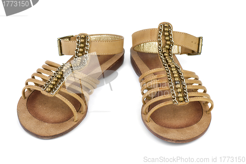 Image of Pair of brown leather female sandals