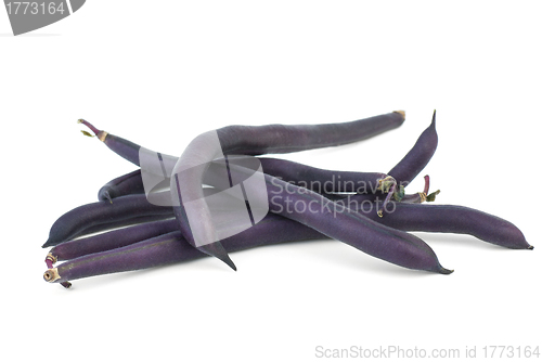 Image of Black wax beans 