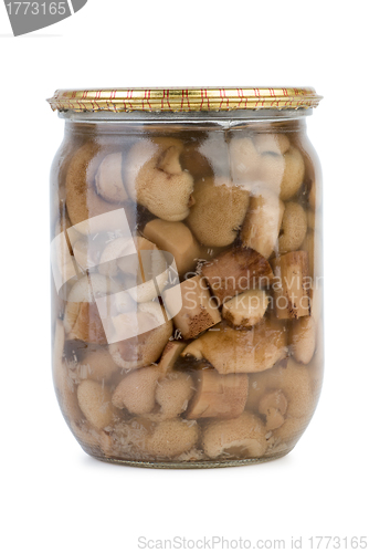 Image of Glass jar with marinated birch boletuses