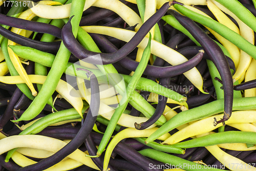 Image of Abstract background: mix of green, yellow and black wax beans