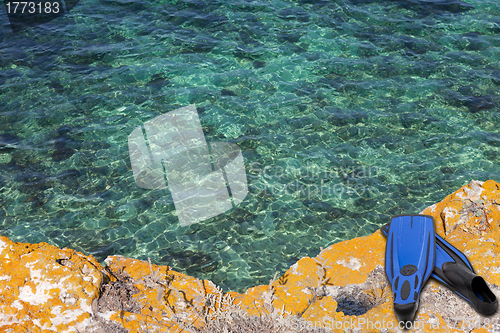 Image of Blue flippers on the cliff of sea