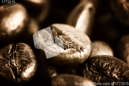 Image of Fragrant fried coffee beans 