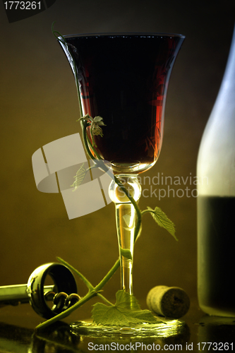 Image of Red wine