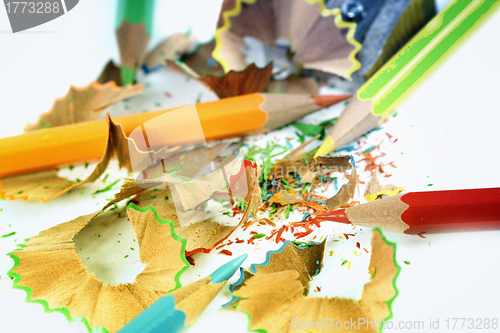 Image of Pencils and sharpener