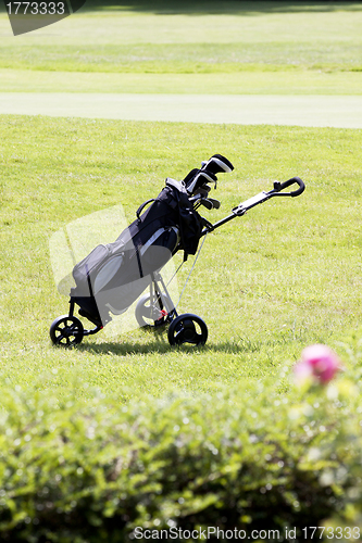 Image of golfbag on a golf course in summer 