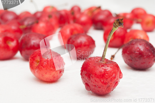 Image of Cherries