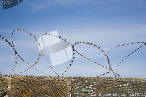 Image of Barbed wire