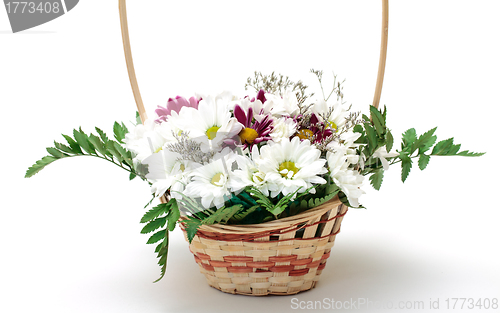 Image of Vibrant Flowers Daisies in Basket