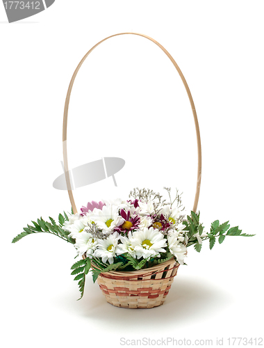 Image of Vibrant Flowers Daisies in Basket