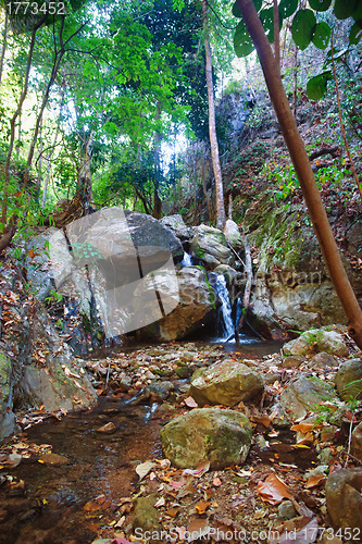 Image of small waterfall in stream