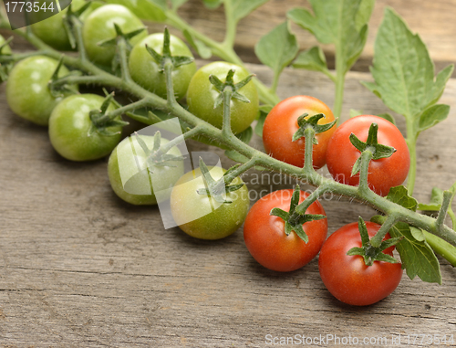 Image of Cherry Tomatoes