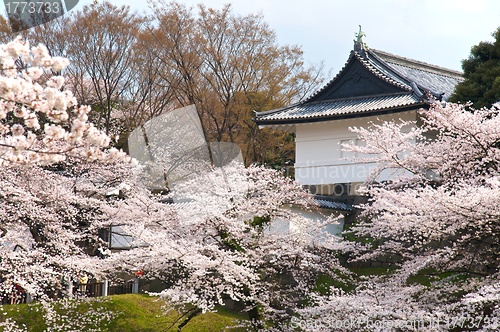 Image of Tokyo