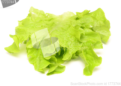 Image of salad