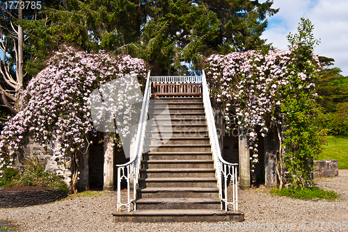 Image of Armadale Castle Gardens