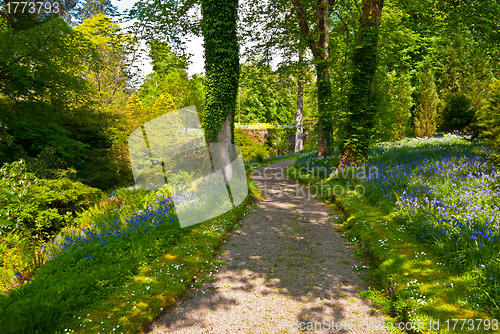 Image of Armadale Castle Gardens