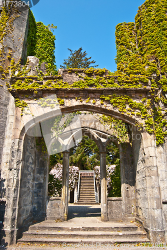 Image of Armadale Castle Gardens