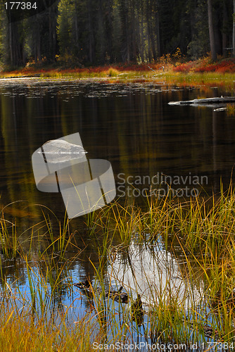 Image of Blazing fall colors reflecting into a Yosemite Park pond