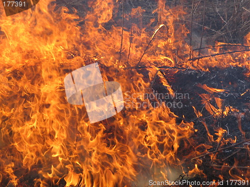 Image of fire and smoke