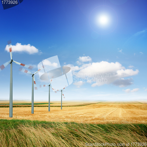 Image of Wind turbines on the field