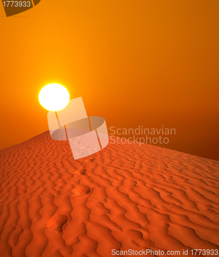 Image of sahara sunset