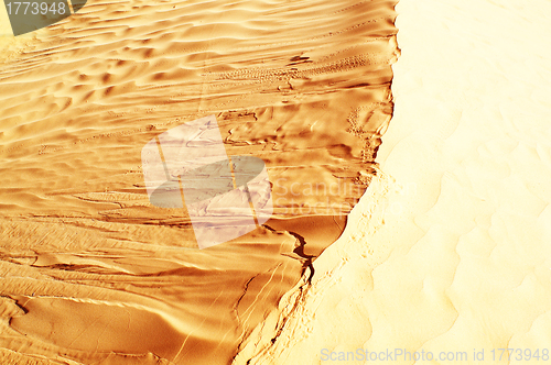 Image of Dune
