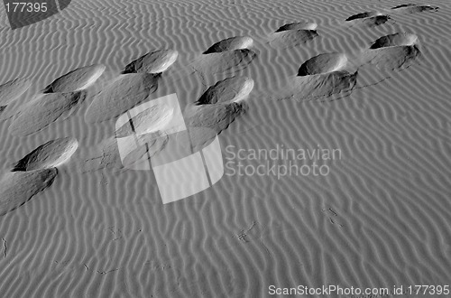 Image of Footsteps in the sand dunes