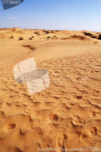 Image of Sand in the desert