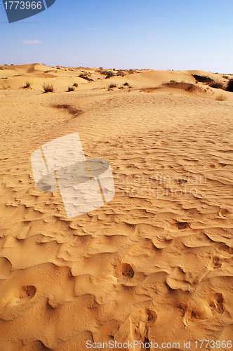 Image of Sand in the desert