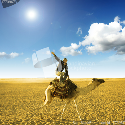 Image of pose on the camel