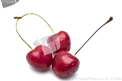 Image of Fresh Cherry
