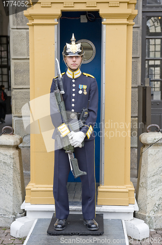 Image of Sweden Royal guard