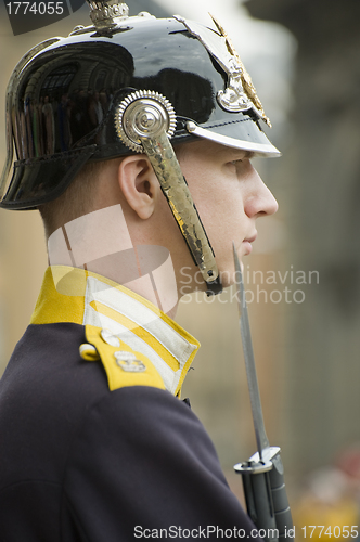 Image of Sweden Royal guard