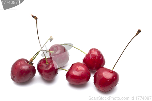 Image of Fresh Cherry