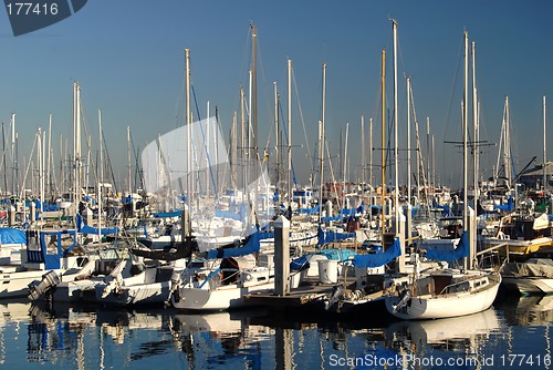 Image of Marina in Monterey California