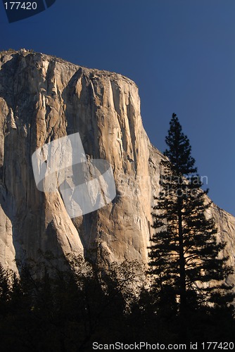 Image of Morning sun hitting El Capitan in Yosemite National Park