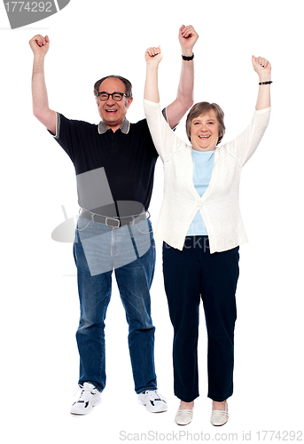 Image of Excited aged couple posing with raised arms