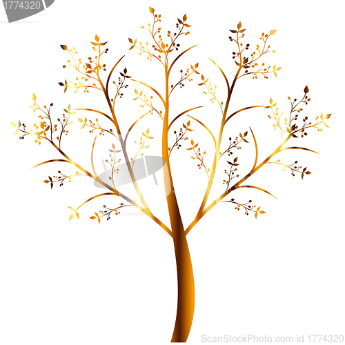 Image of Olive Tree