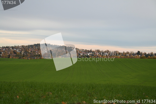 Image of Green field