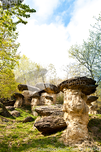 Image of Imaginative forest landscape